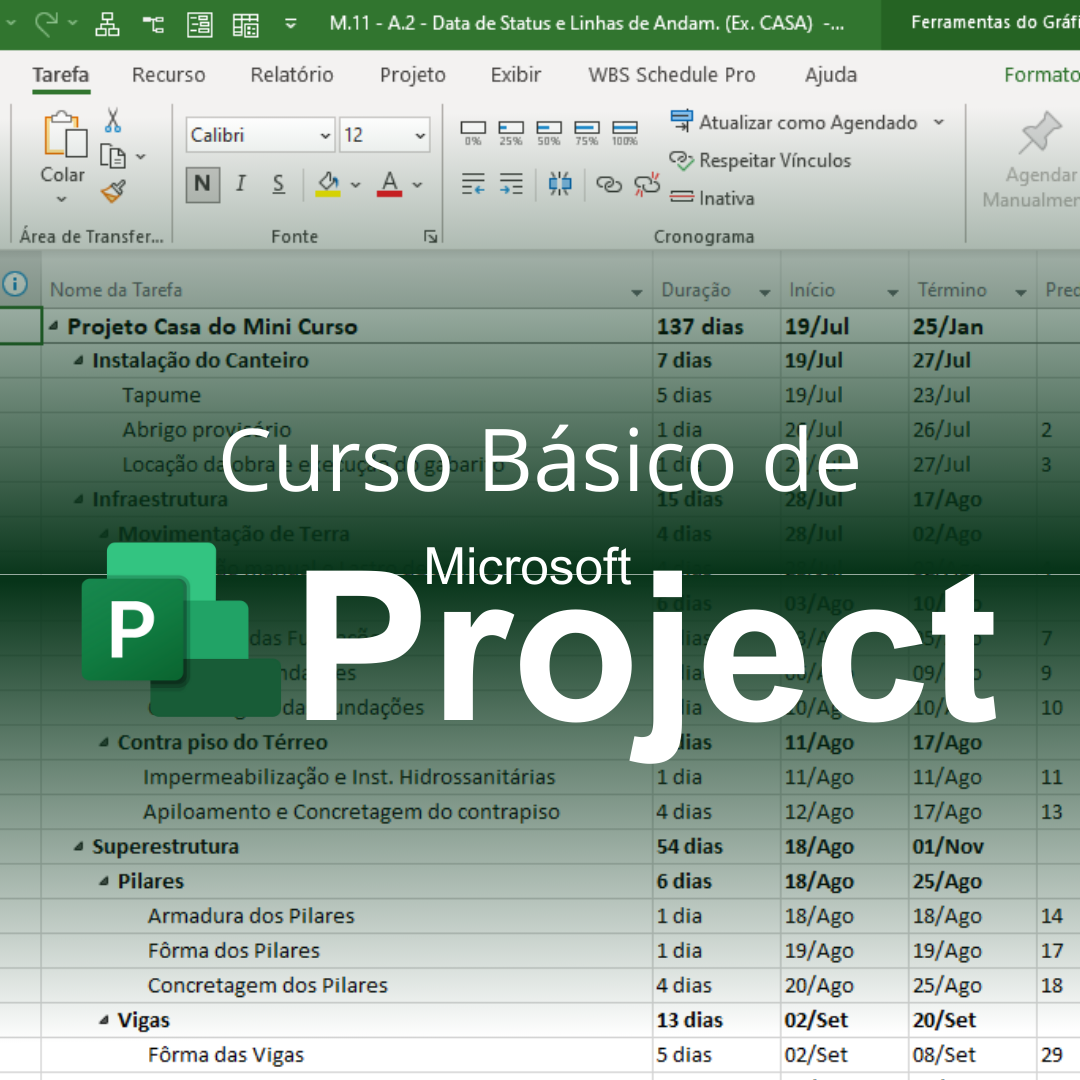 Horizonte Treinamentos - Curso Ms Project para Engenheiros 2025